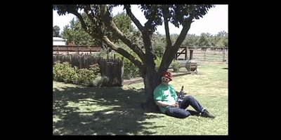 Relaxing Boy Scouts GIF by ANTI- Records