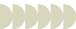Nesty Gifs Sticker by Nest Realty