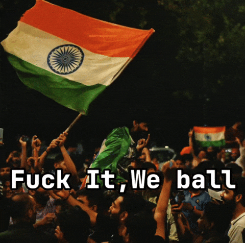 Ball India GIF