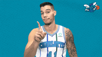 happy willy hernangomez GIF by Charlotte Hornets
