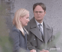 Season 9 Comedy GIF by The Office