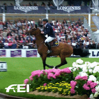 sport jumping GIF by FEI Global
