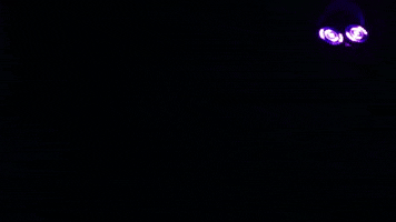 200.gif?cid=fc005b08e61ea8d6a5a5944143c5a48da610436e00cc47f3&rid=200.gif&ct=g