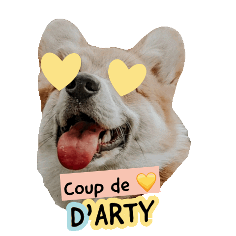 Pawsitivepetambassadeur Sticker by Pawsitive pet