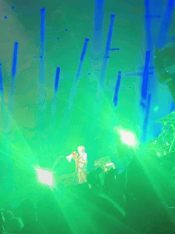Trey Phish GIF by Falafayette