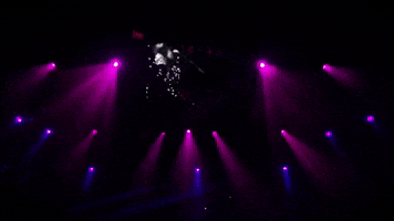 Cats Magic GIF by Musical Vienna