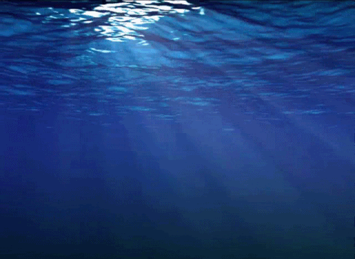 Water GIF - Find & Share on GIPHY