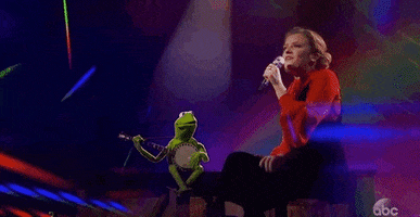 Season 16 Kermit GIF by American Idol