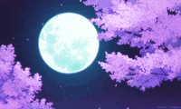 Anime Cherry Blossom Gifs Get The Best Gif On Giphy