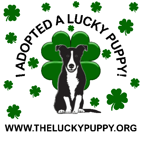 Adopt Me Best Friend Sticker by Morgan