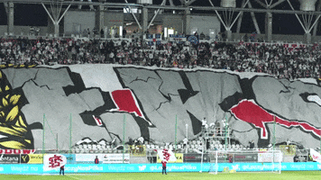 Football Flags GIF by LKS Lodz