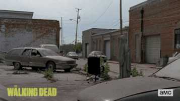 twd GIF by The Walking Dead