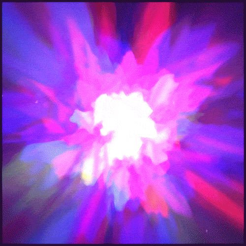 glow flower petals GIF by Erica Anderson