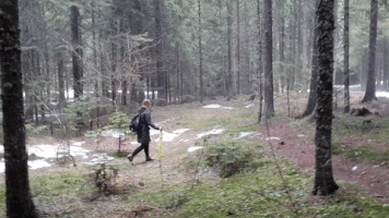 200.gif?cid=fc005b08c2e8104226eaf288ca13548a30299f4e08439523&rid=200.gif&ct=g