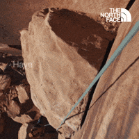 Have You Ever - The North Face