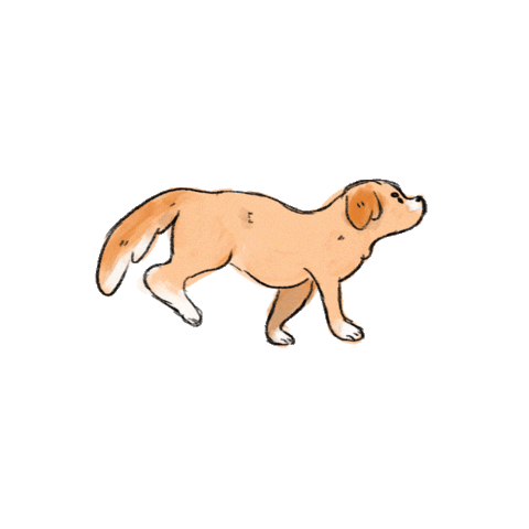 Animated Dog Running Gif