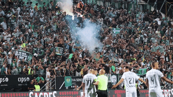 Fans GIF by Sporting CP