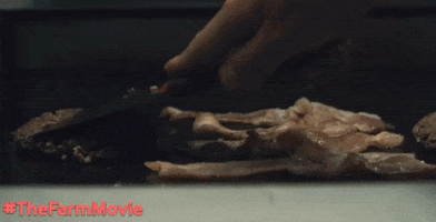 200.gif?cid=fc005b08bf4ed5bb4c6368166e433b4d3485aae4b338a2ab&rid=200.gif&ct=g