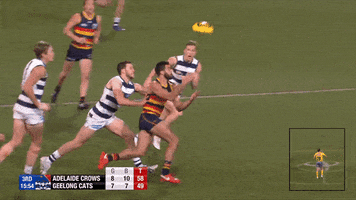 round 17 afl GIF by Adelaide Crows