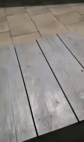 brumthefirst summer bottle flip brumthefirst GIF