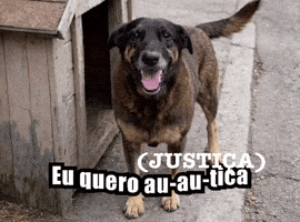 Justiça GIF