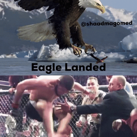 Khabib Vs Conor GIF