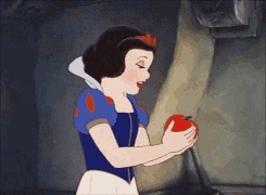 disney snow white apple evil queen snow white and the seven dwarfs GIF