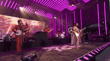 jimmy kimmel love is a wild thing GIF