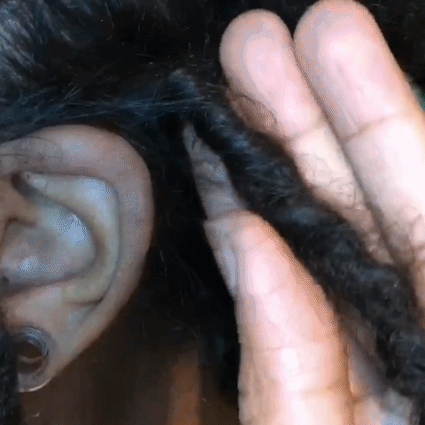 curlynugrowth dreads dreadlocks locs curlynugrowth GIF