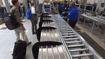 bcbodnar  GIF