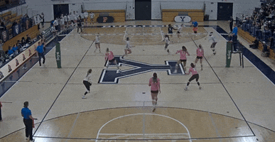 Digs GIF by Brown Volleyball