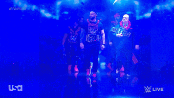 Wwe Wrestling GIF by USA Network