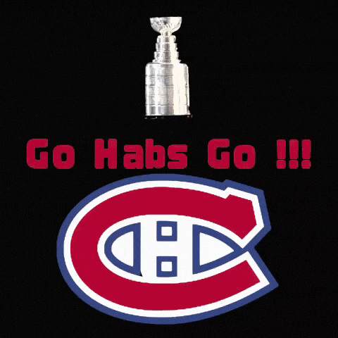 Hockey Go GIF