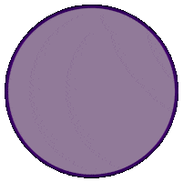 Aмина1 Sticker by TSVETOK