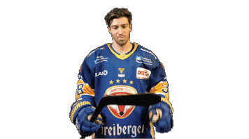 Phone Celebrate Sticker by Lausitzer Füchse