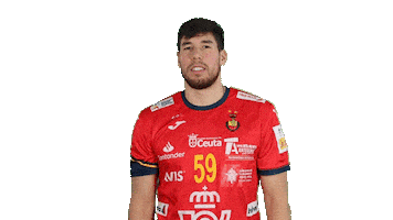 Real Federación Española de Balonmano Sticker