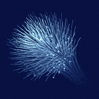 loop render GIF by xponentialdesign