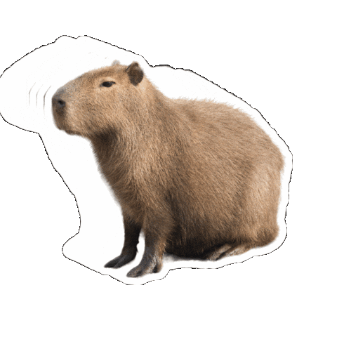 Lucas Santos MS Sticker