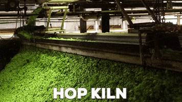 how its made fun GIF by Rogue Ales & Spirits