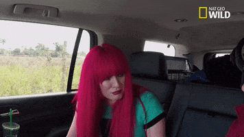 200.gif?cid=fc005b086adbd0c080c066cb2a96015125ea7d1e3c00058a&rid=200.gif&ct=g