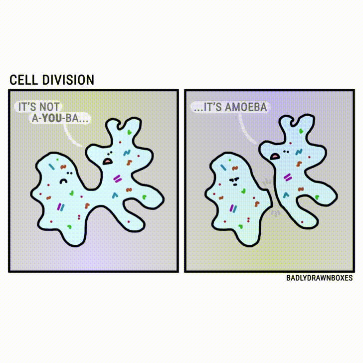 cell ennui GIF