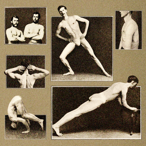 Sport Fitness GIF by k335h