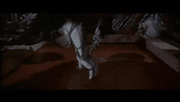 Startrek GIF