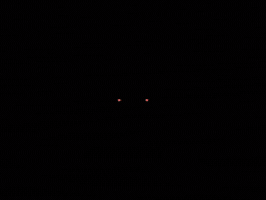 Eastern Orthodox Priest GIF