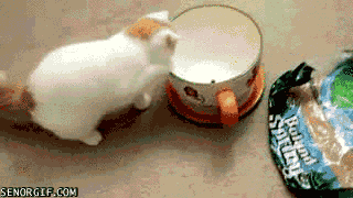 liquid