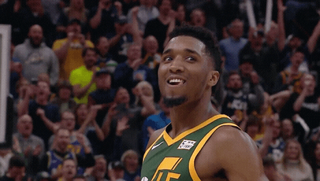 giphy.gif