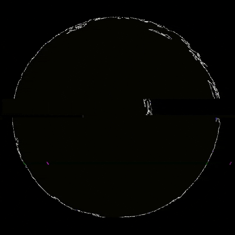 Staywild Wildgeist.Com GIF