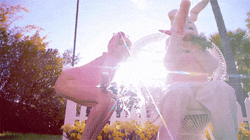 200.gif?cid=fc005b087dd20be010c462ac7ad6004590aff1d7a17924ae&rid=200.gif&ct=g