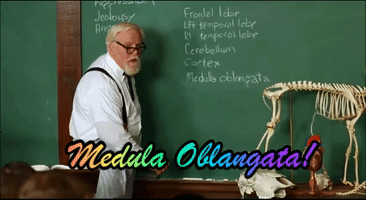 Professor Waterboy GIF