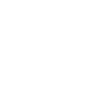 TERRES DU SON Sticker
